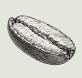 halfabean